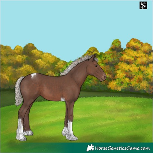 Horse Color:Silver Black Tobiano Varnish 
