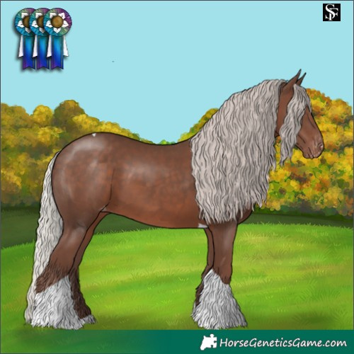 Horse Color:Silver Black Tobiano Varnish