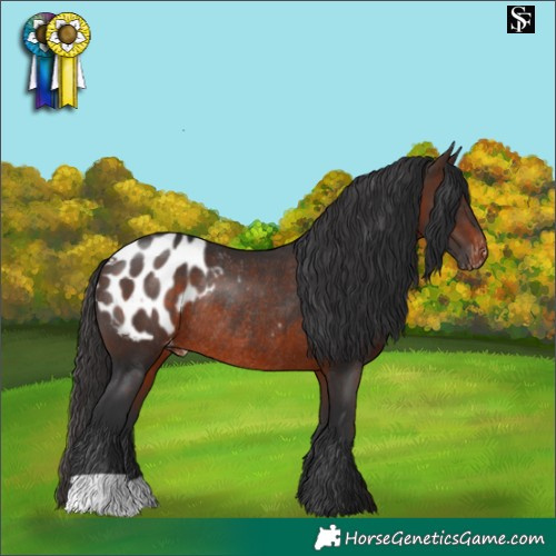 Horse Color:Brown Blanket Rabicano 