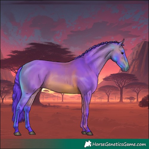 Horse Color:Watercolor Bay 