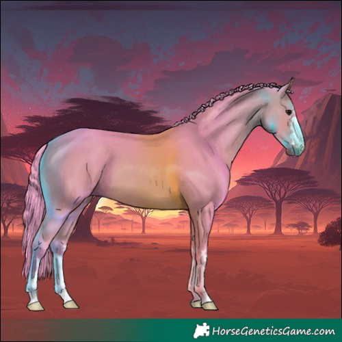 Horse Color:Watercolor Bay