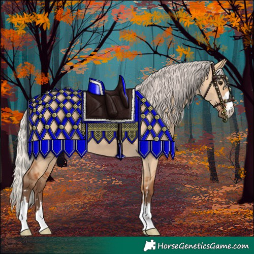 Horse Color:Silver Bay Dun