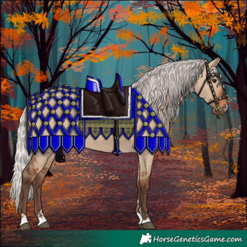 Horse Color:Silver Bay Dun