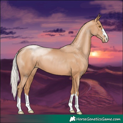 Horse Color:Silver Black Pearl
