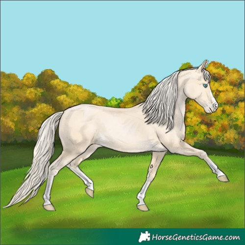 Horse Color:Palomino Pearl 