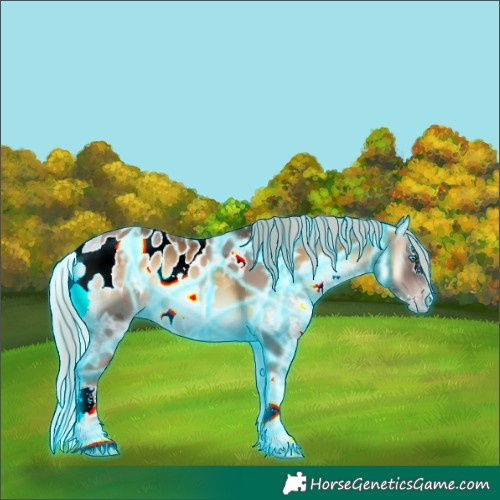 Horse Color:Gray Thunderstruck White Spotted Silver Sable Champagne Ice Onyx Merle Splash Skewed LP Spotted Rabicano