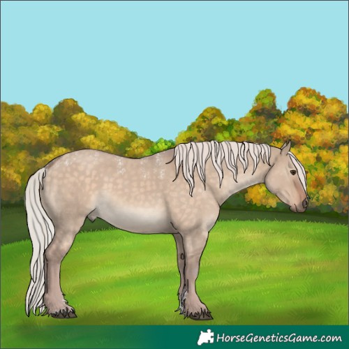 Horse Color:Powder White Silver Brown Dun