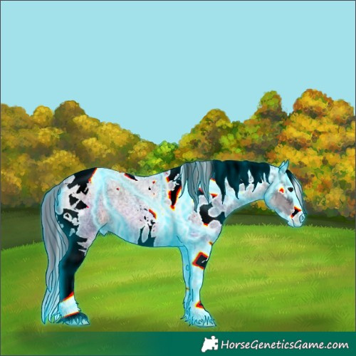 Horse Color:Thunderstruck Brown Roan Dun Splash Tobiano Skewed LP Spotted
