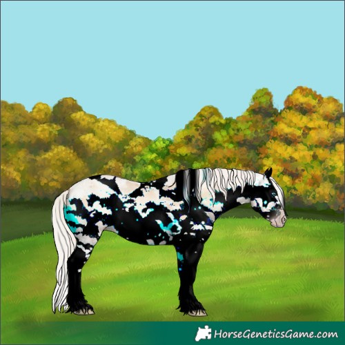 Horse Color:Gray Silver Classic Champagne Ice Roan Onyx Harlequin Merle Splash Rabicano