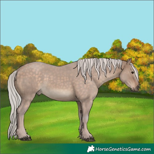 Horse Color:Silver Brown Dun 