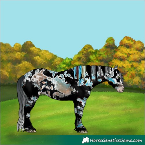 Horse Color:Gray White Spotted Sable Champagne Ice Splash Tobiano Skewed LP Spotted Rabicano