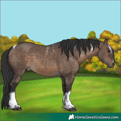 Horse Color:Powder White Brown Dun Tobiano