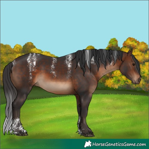 Horse Color:Powder White Brown