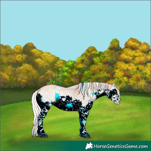 Horse Color:Silver Brown Roan Onyx Splash Rabicano 