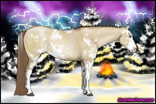 Horse Color:Grullo Pearl Sabino