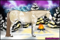 Horse Color:Grullo Pearl Sabino
