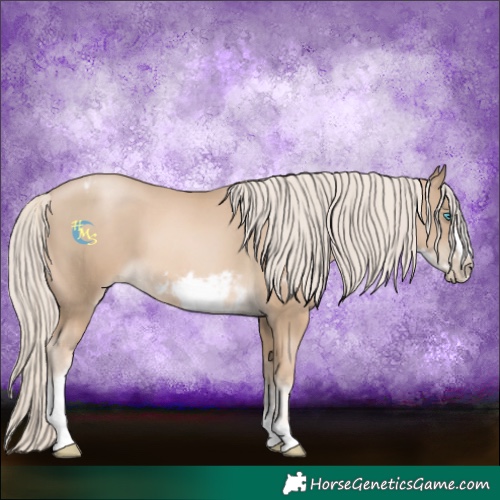 Horse Color:Chocolate Palomino Pearl Tobiano Frame  and Chocolate Palomino Pearl Tobiano Frame 