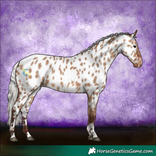 Horse Color:Silver Brown Dun Near Leopard