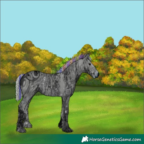 Horse Color:ERROR: UNKNOWN ANOMALY