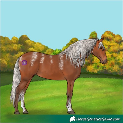 Horse Color:Powder White Silver Bay 