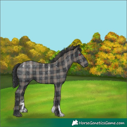 Horse Color:Powder White Plaid Black