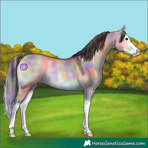 Horse Color:Nacre Bay Onyx Splash 