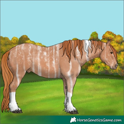 Horse Color:Powder White Chestnut Ice Tobiano Rabicano