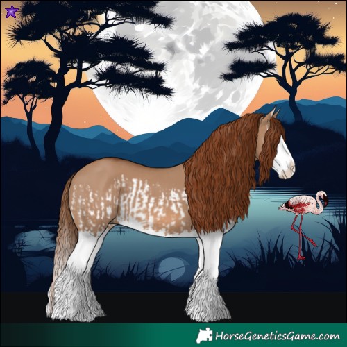 Horse Color:Red Dun Splash  and Red Dun Splash 