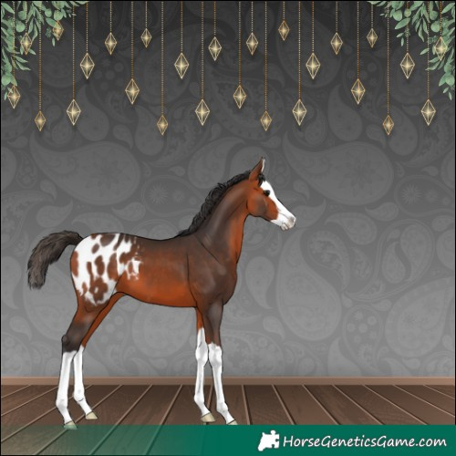 Horse Color:Bay Splash Blanket