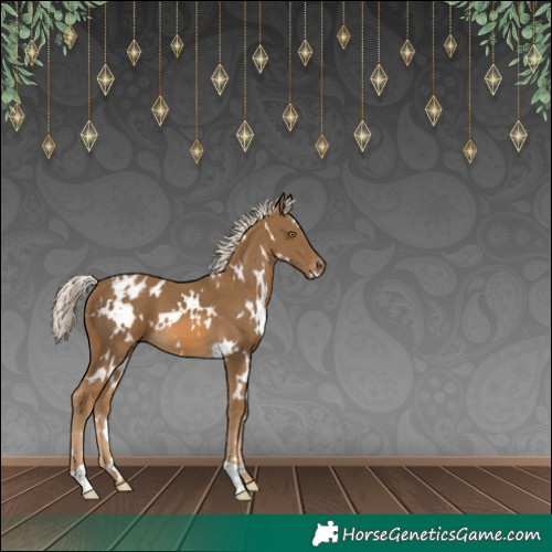 Horse Color:White Spotted Chocolate Palomino Blanket