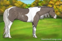 Horse Color:Silver Black Sabino Tobiano