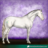 Horse Color:Buckskin Roan Pearl and Buckskin Roan Pearl Dun
