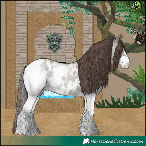 Horse Color:Grullo Roan Splash Near Leopard