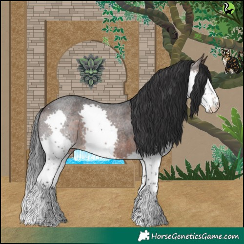 Horse Color:Brown Roan Splash
