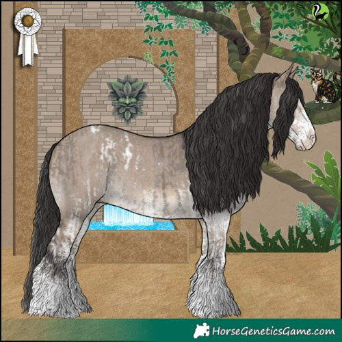 Horse Color:Grullo Splash Tobiano and White Spotted Brown Dun