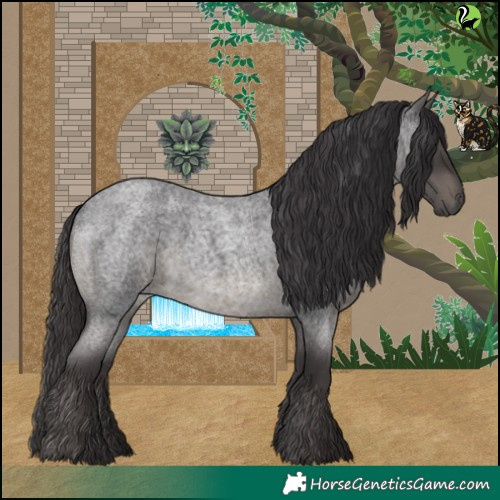 Horse Color:Smoky Blue Roan 