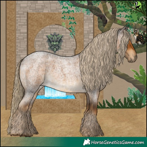 Horse Color:Chocolate Palomino Roan