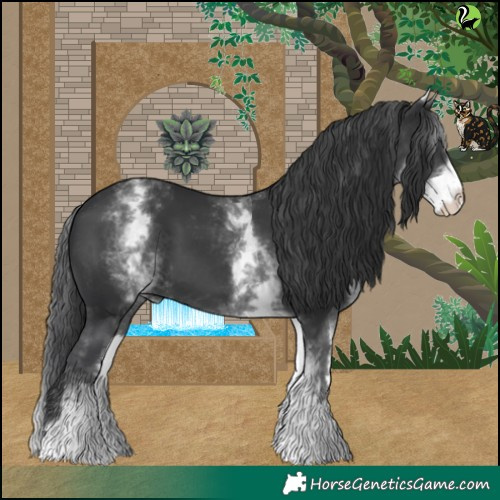 Horse Color:White Spotted Black