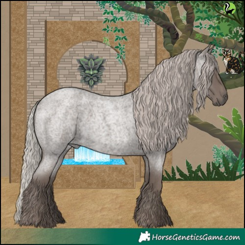 Horse Color:Silver Blue Roan