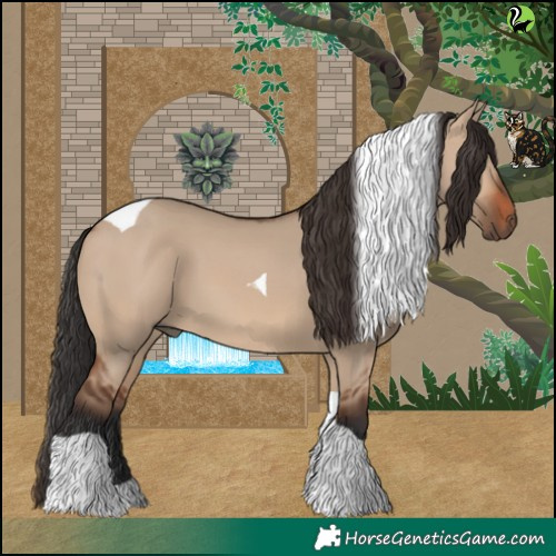 Horse Color:Brown Dun Tobiano 