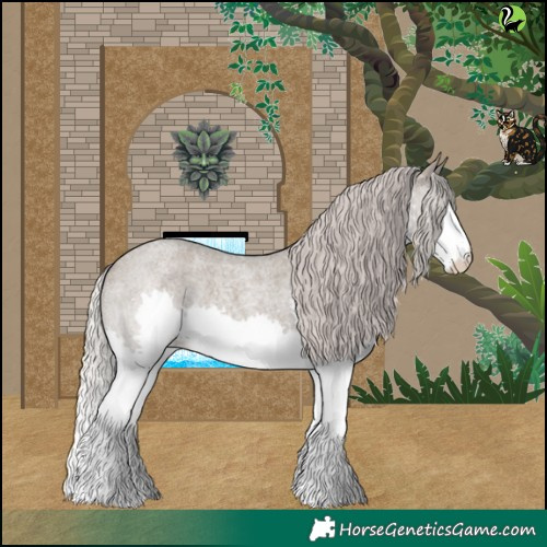Horse Color:Silver Grullo Roan Splash