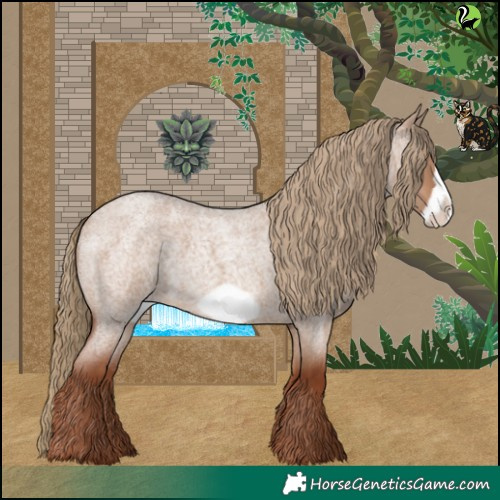 Horse Color:Red Dun Roan Frame 