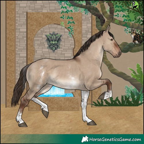 Horse Color:White Spotted Liver Red Dun