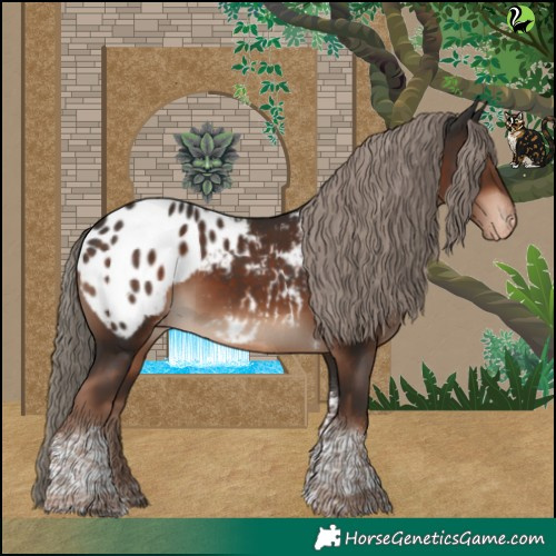 Horse Color:Liver Chestnut Tobiano Blanket 