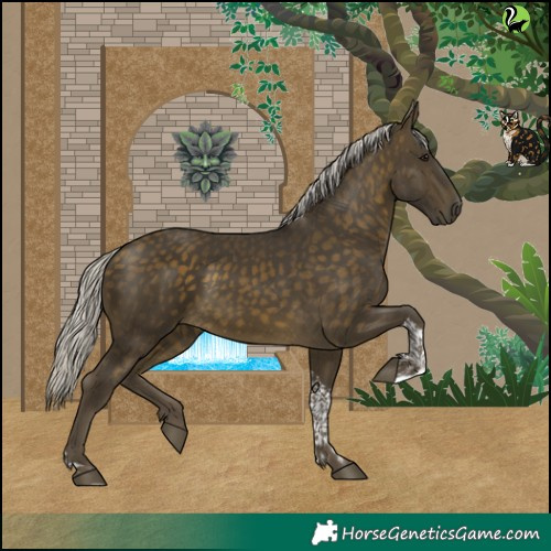 Horse Color:Silver Buckskin Tobiano