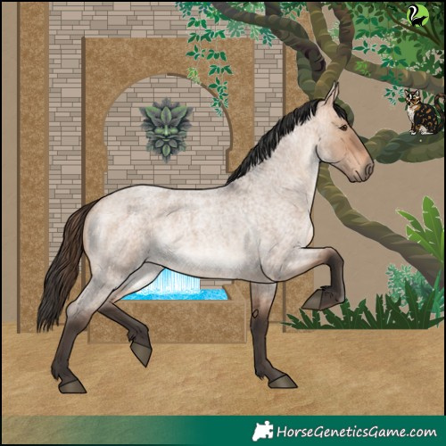Horse Color:Bay Roan Dun