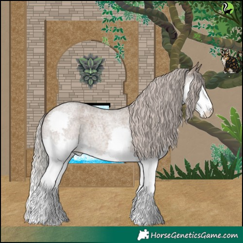 Horse Color:Silver Grullo Roan Splash Rabicano