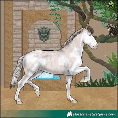 Horse Color:Silver Grullo Roan Splash Varnish Rabicano
