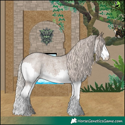 Horse Color:Silver Grullo Roan Splash Varnish Rabicano 