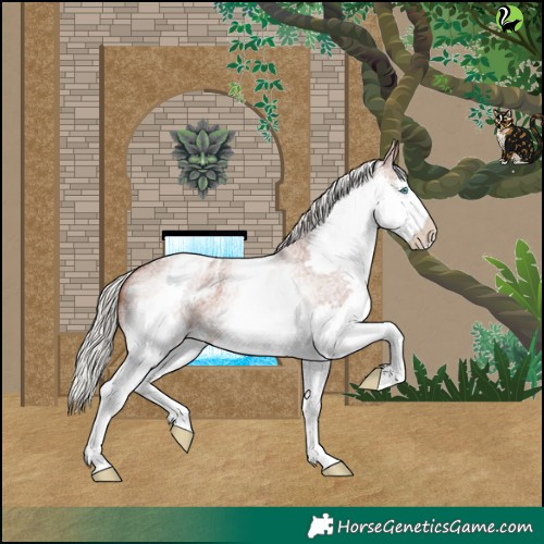 Horse Color:White Spotted Silver Blue Roan Splash Blanket